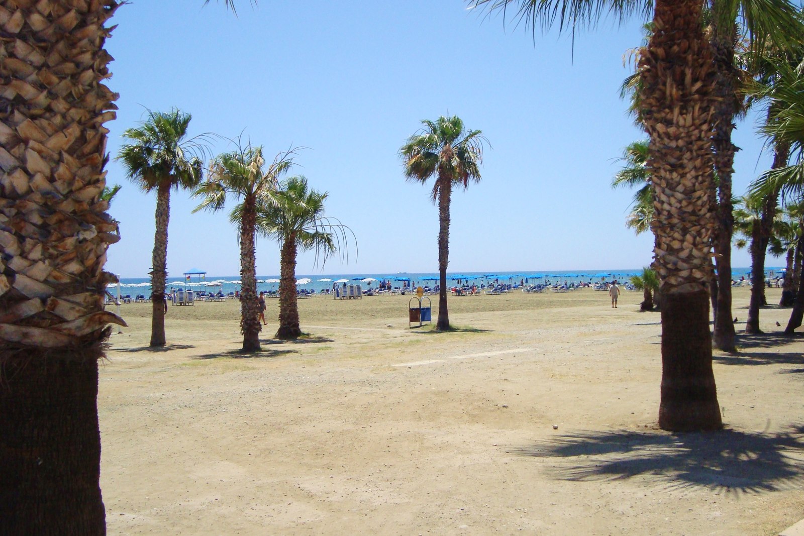 Finikoudes beach and seafront, Larnaca